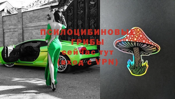 ПСИЛОЦИБИНОВЫЕ ГРИБЫ Зеленодольск