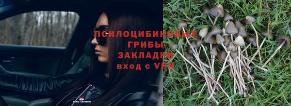 ПСИЛОЦИБИНОВЫЕ ГРИБЫ Зеленодольск