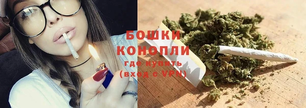 ПСИЛОЦИБИНОВЫЕ ГРИБЫ Зеленодольск