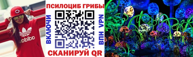 Псилоцибиновые грибы MAGIC MUSHROOMS  Купить закладки  Красавино 